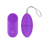 EasyToys - Vibrations-Ei - Mit Fernbedienung 20m Reichweite - Lila