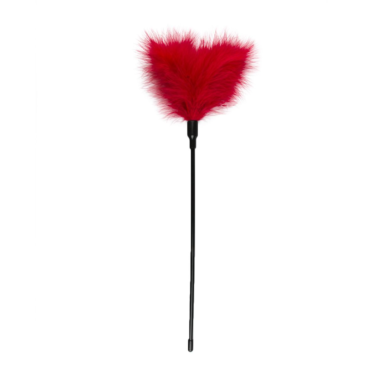 Easytoys Fetish - Black Tickler - Lang