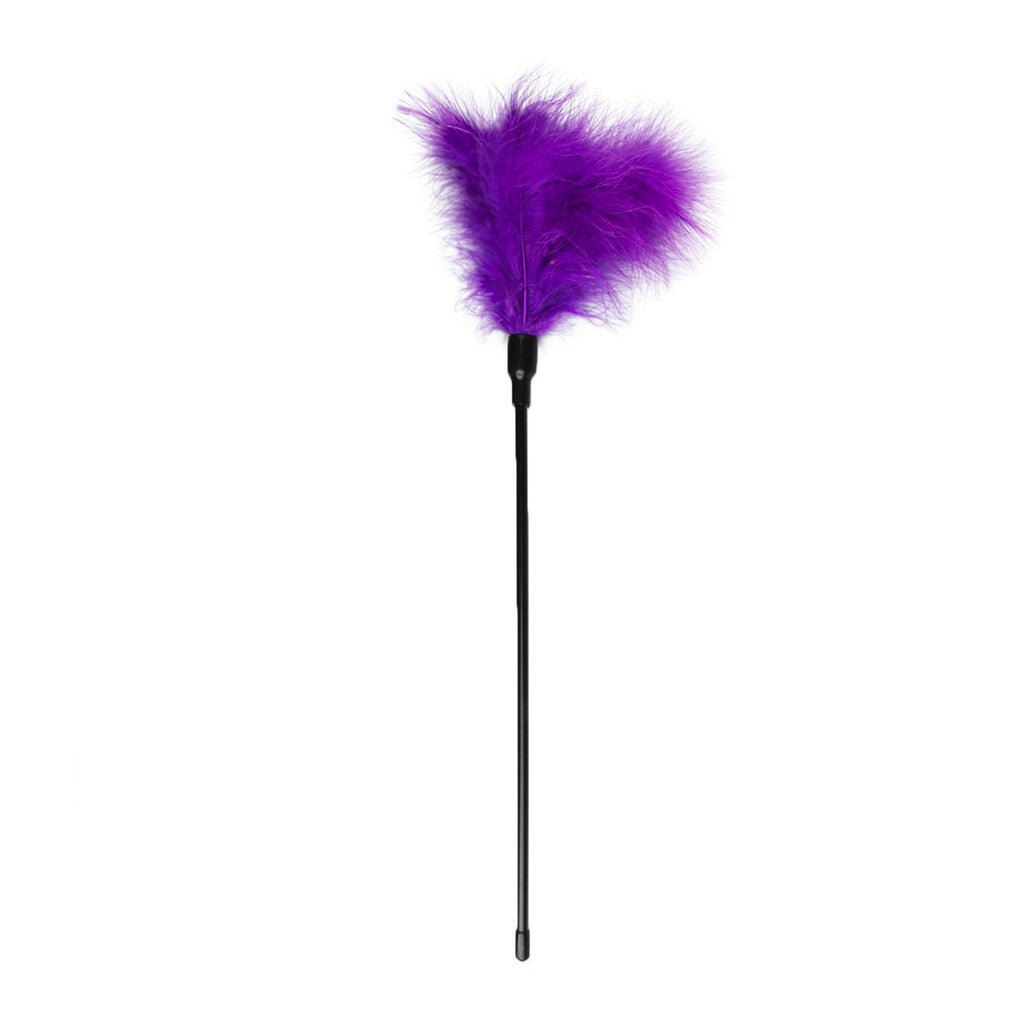 Easytoys Fetish - Black Tickler - Lang