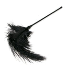 Easytoys Fetish - Schwarzer Feder-Tickler