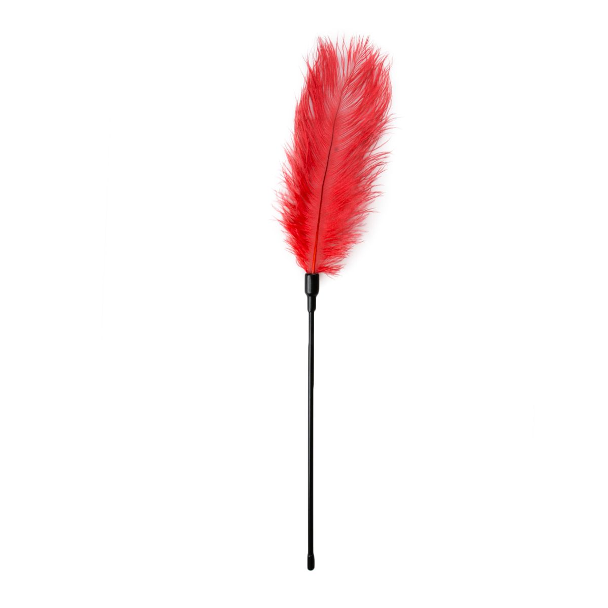 Easytoys Fetish - Schwarzer Feder-Tickler