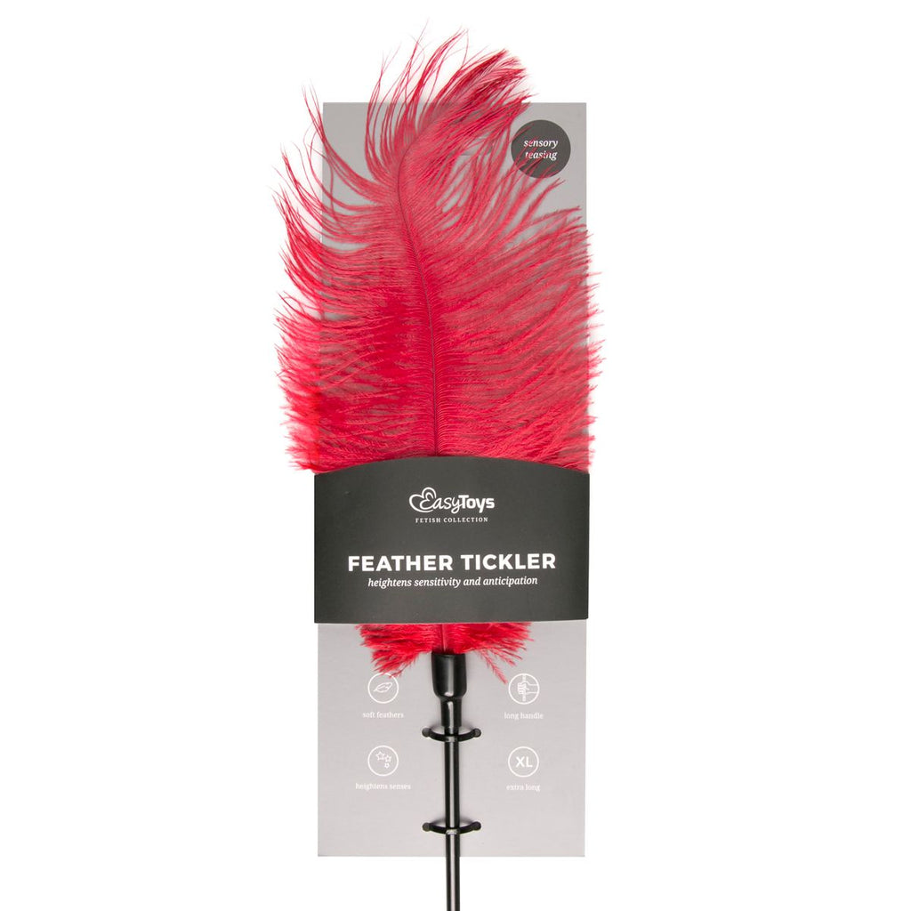 Easytoys Fetish - Schwarzer Feder-Tickler