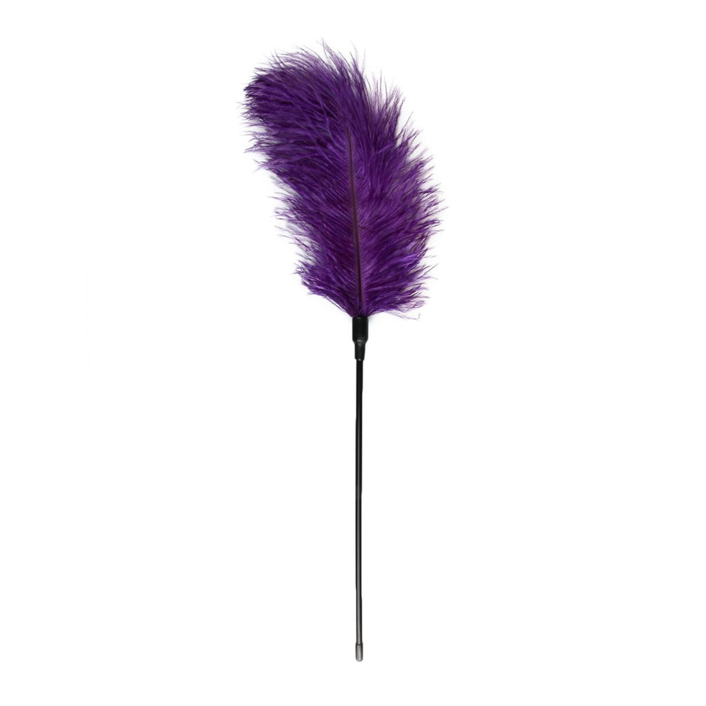Easytoys Fetish - Schwarzer Feder-Tickler