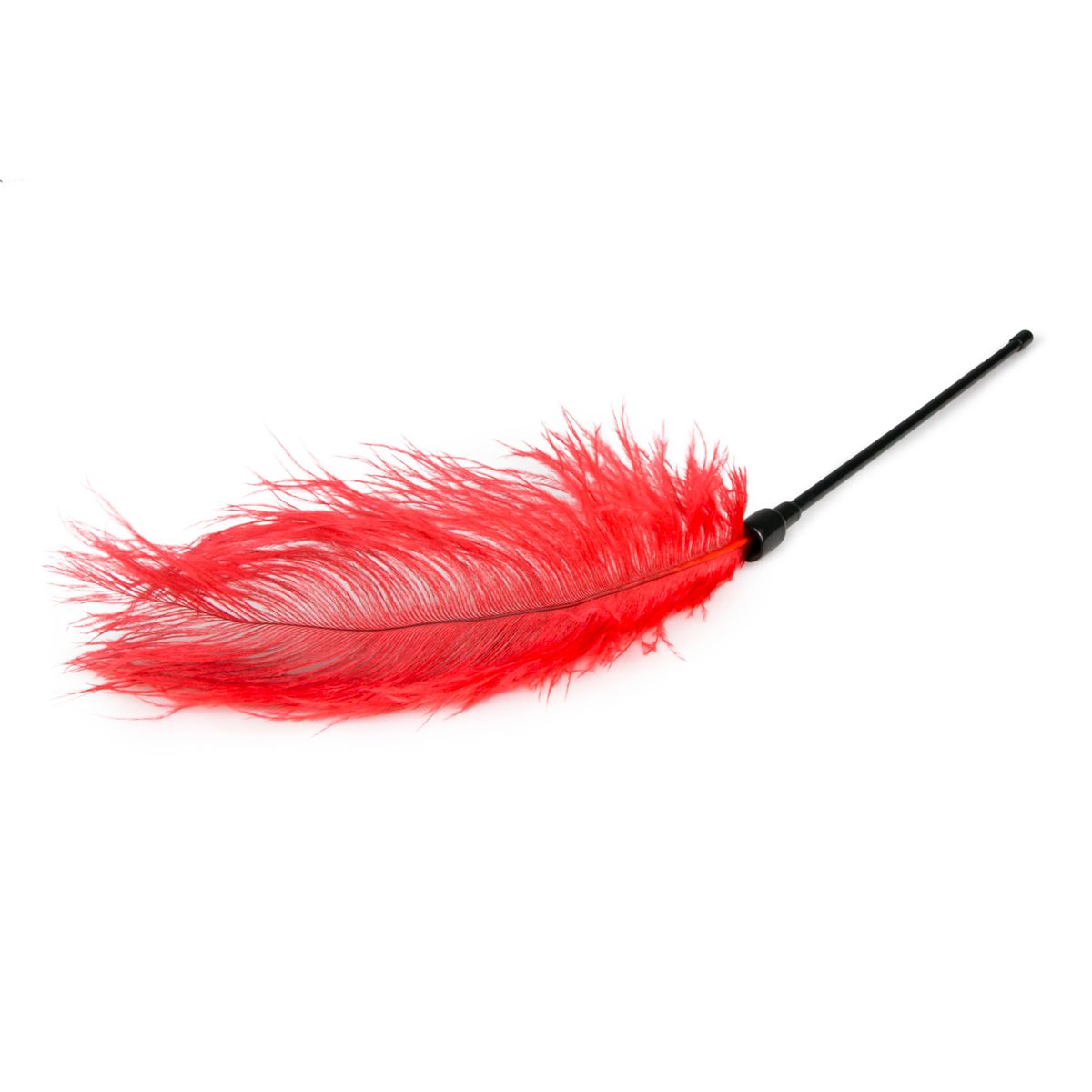 Easytoys Fetish - Schwarzer Feder-Tickler