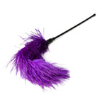 Easytoys Fetish - Schwarzer Feder-Tickler