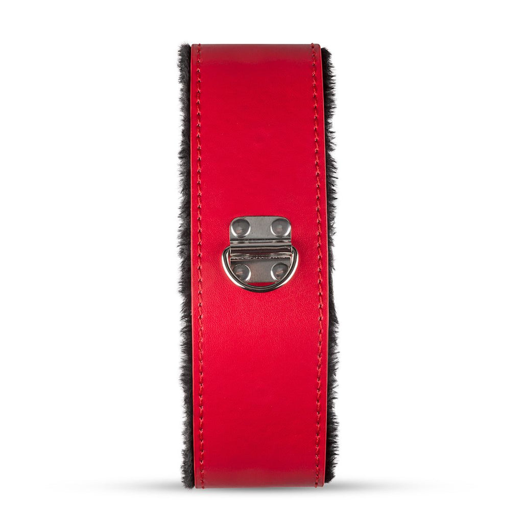 Secret Pleasure Chest X Bedroom fantasies - Red Dragon