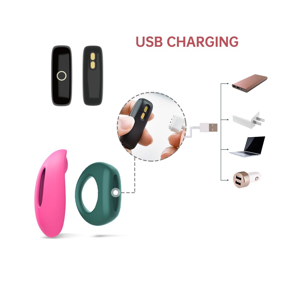 Magic Motion - Magic Candy und Dante Kit II - Vibrator und Cockring mit App-Steuerung