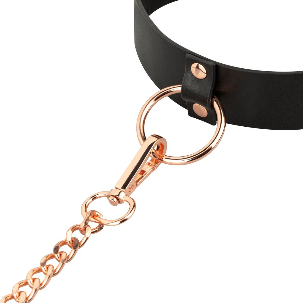 Rosy Gold - Halsband mit Leine - Schwarz