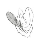 ROMP - Reverb 2-in-1 Vibrator mit Pleasure Air und G-Punkt-Stimulation
