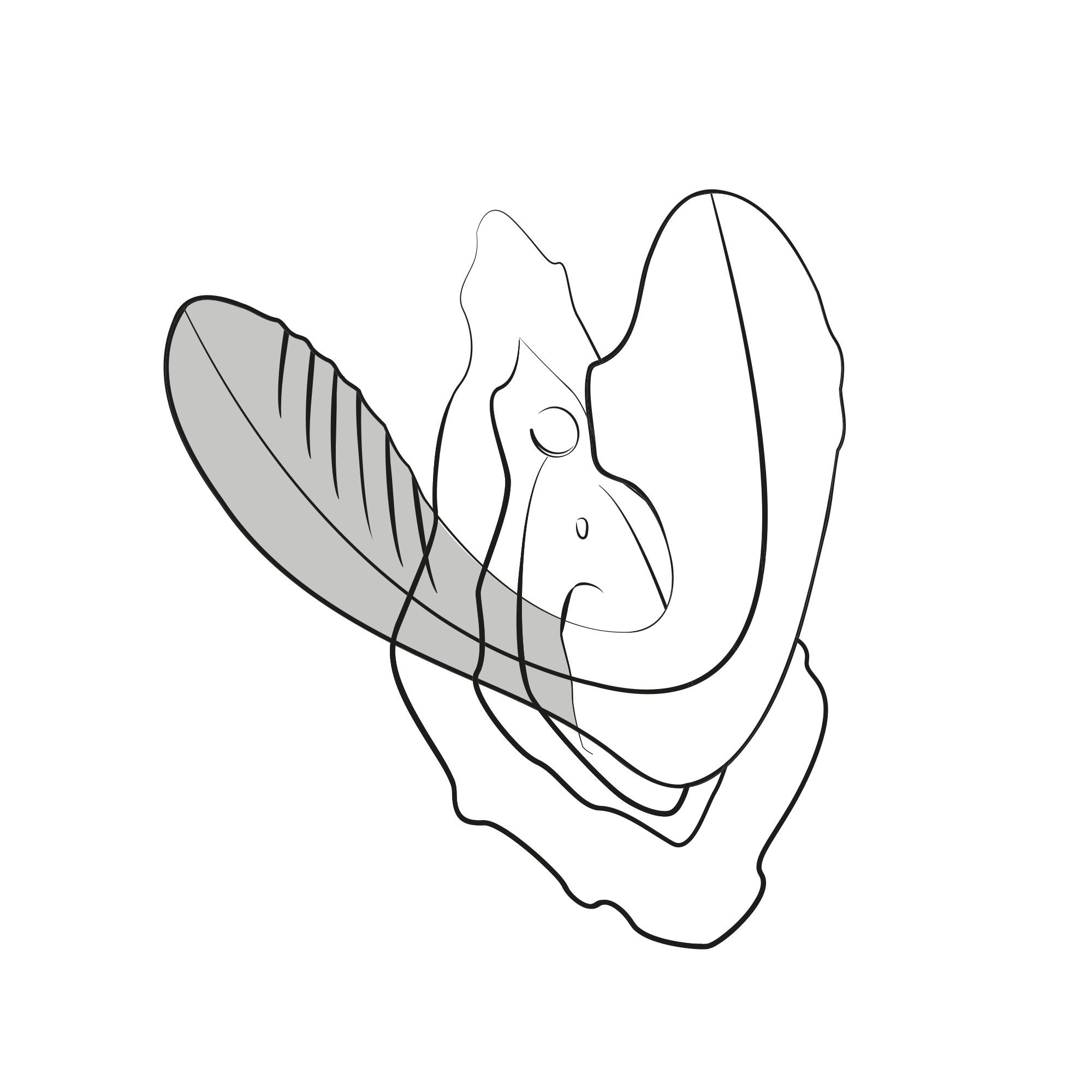 ROMP - Reverb 2-in-1 Vibrator mit Pleasure Air und G-Punkt-Stimulation