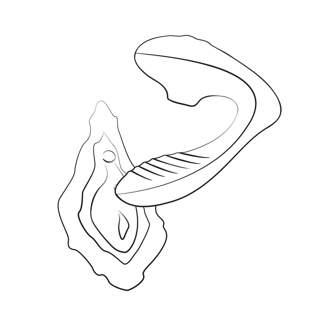 ROMP - Reverb 2-in-1 Vibrator mit Pleasure Air und G-Punkt-Stimulation