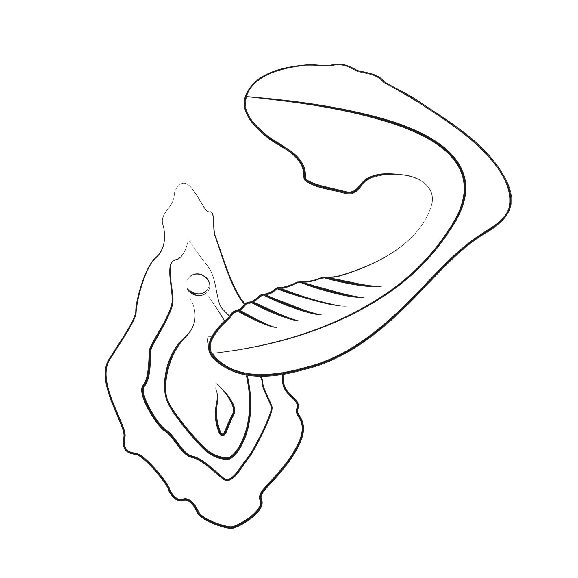ROMP - Reverb 2-in-1 Vibrator mit Pleasure Air und G-Punkt-Stimulation
