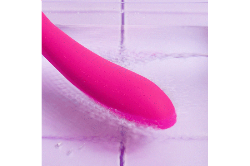 Pair Vibrator - Paar-Vibrator mit Doppelmotor - Anal und Vaginal