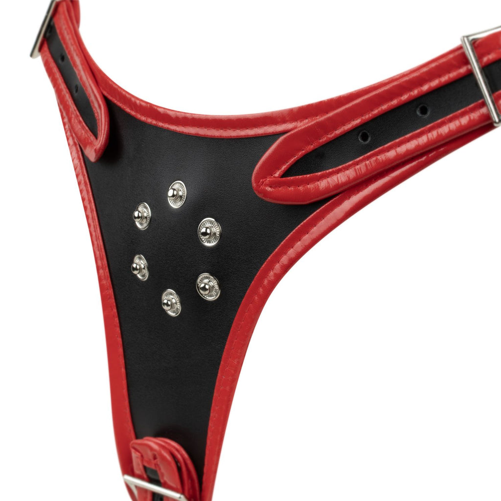 Easytoys Fetish - Triple Dildo Strap-On Harness