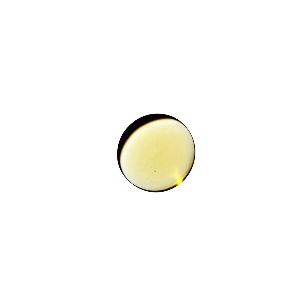 Dame Products Sex-Massageöl mit warmer Sandelholznote 60 ml