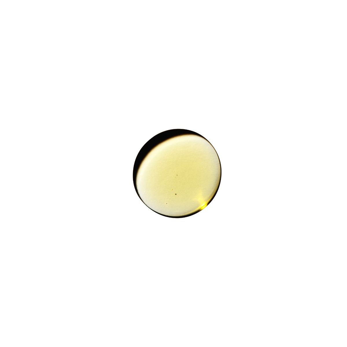 Dame Products Sex-Massageöl mit warmer Sandelholznote 60 ml