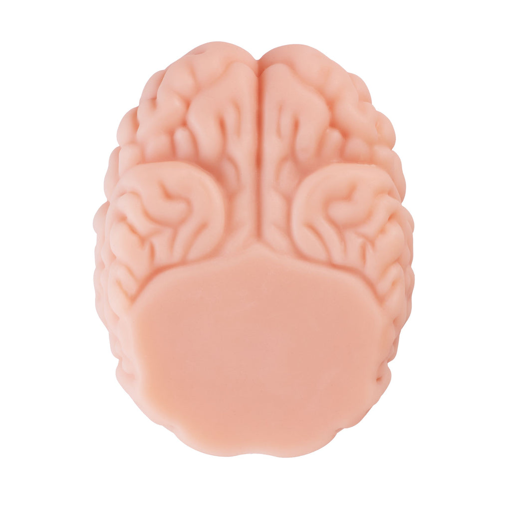 XTC Japan – Brain Hacker DX Masturbator – Pfirsich