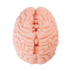 XTC Japan – Brain Hacker DX Masturbator – Pfirsich