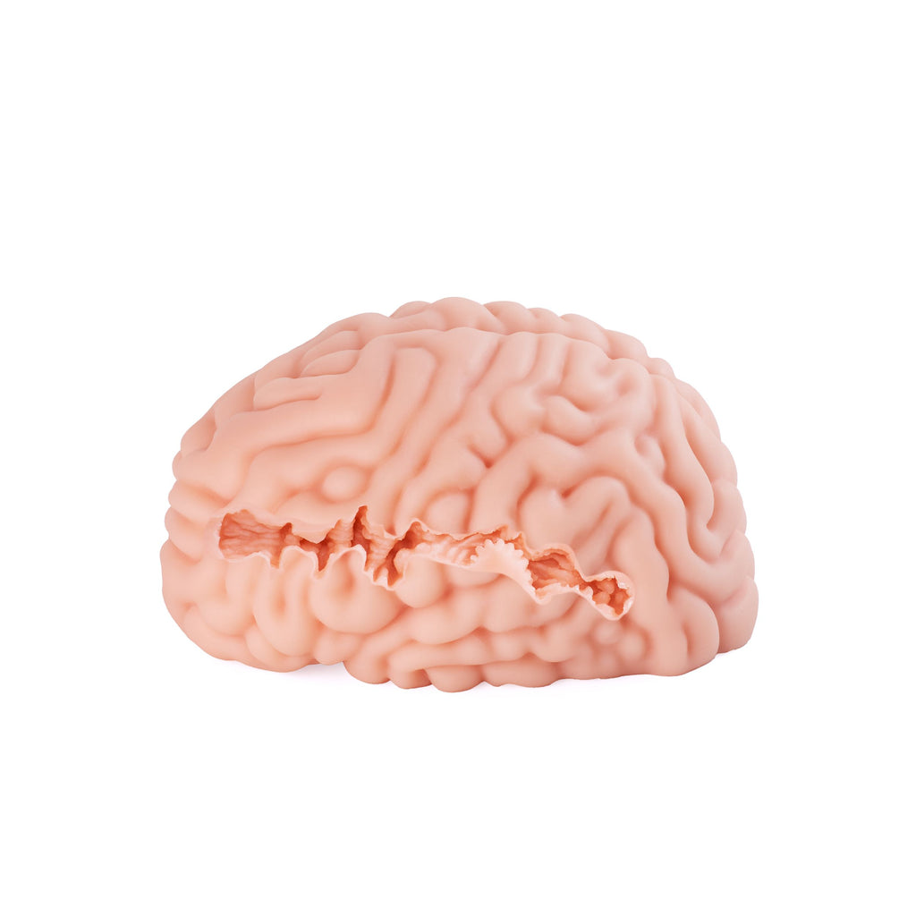 XTC Japan – Brain Hacker DX Masturbator – Pfirsich
