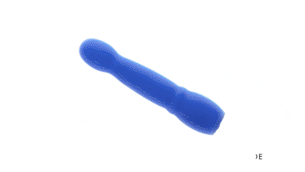 Evolved - Disco Diva Vibrator - Blau